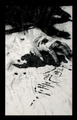 Thumbnail for version as of 18:21, 8 January 2024